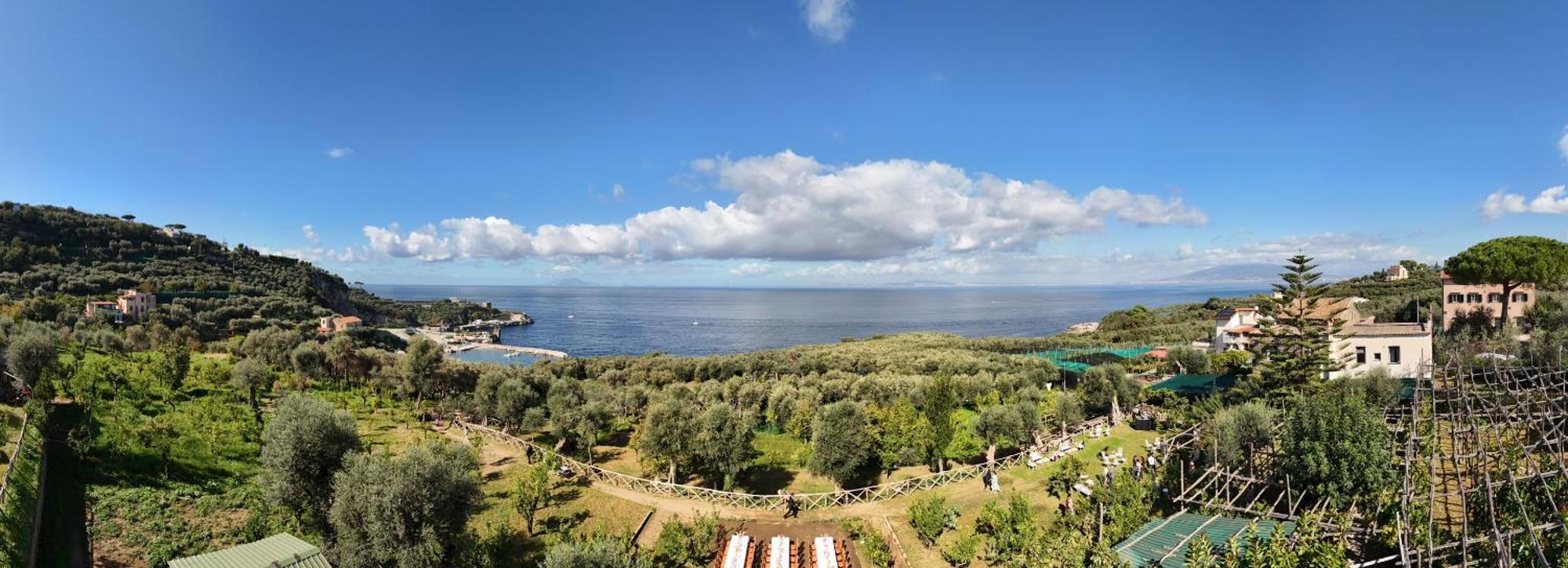 Villa Puolo - Península Sorrentina Exterior foto